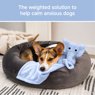 Weighted Calming Toy in Blue, Canada Pooch, Dog Calming