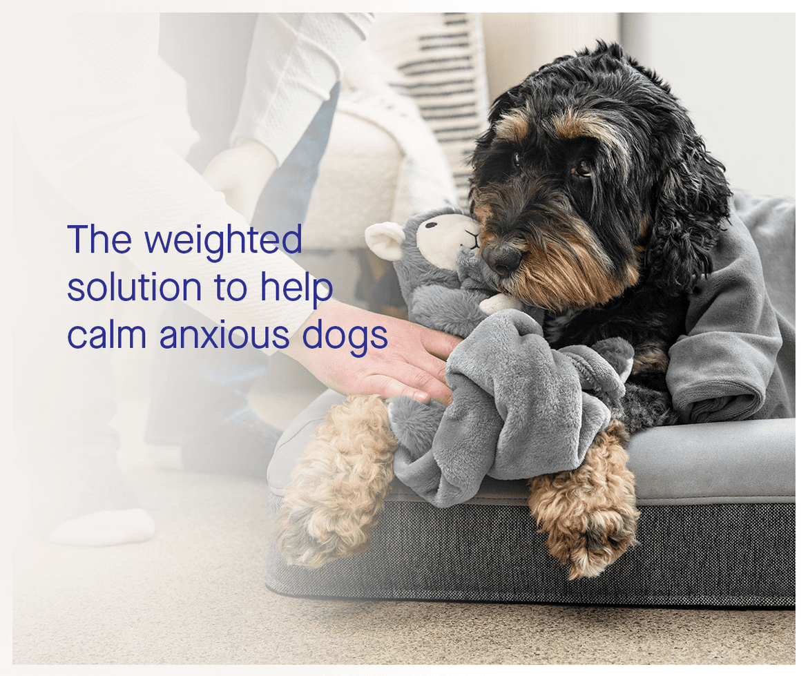 Weighted Dog Anxiety Toy | Canada Pooch