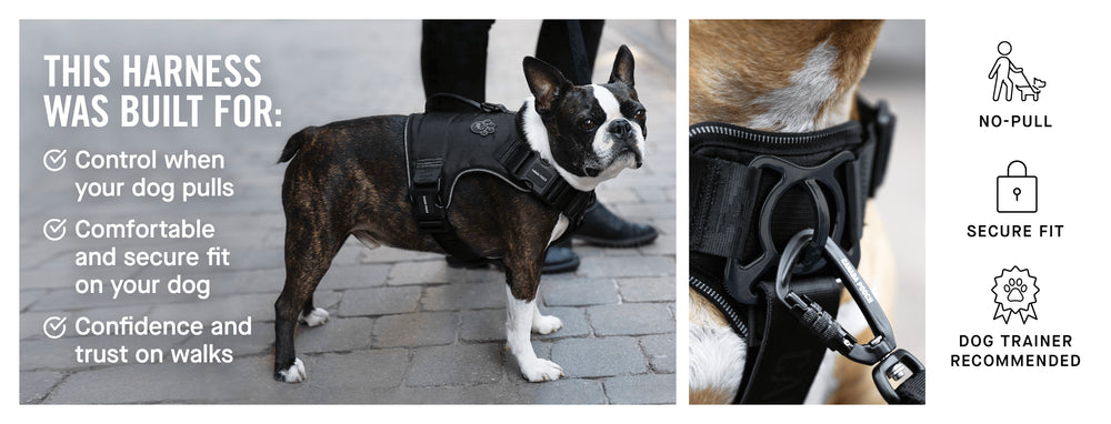 Canada Pooch Suspender Boots For Dogs, 3, Black