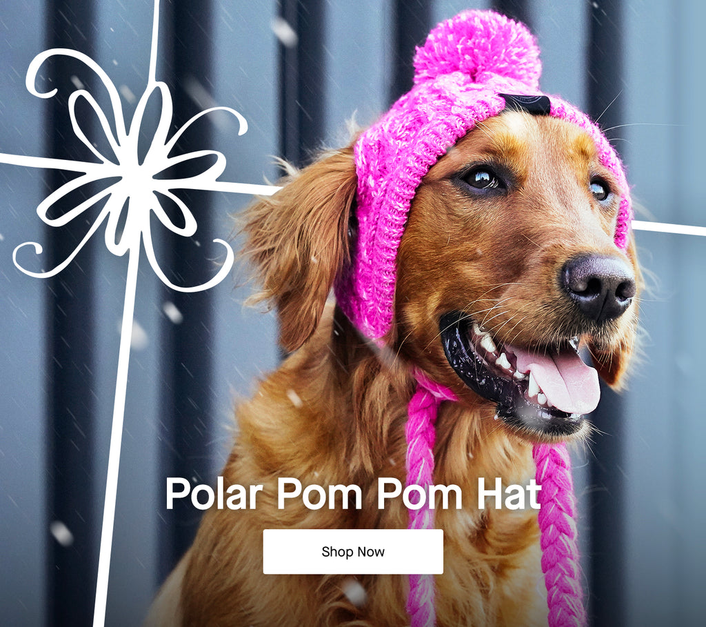 Canada Pooch Dog Clothes and Accessories Dog Apparel