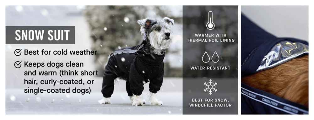 Snow Clothes for Dogs - Slush Suit vs. Snowsuit