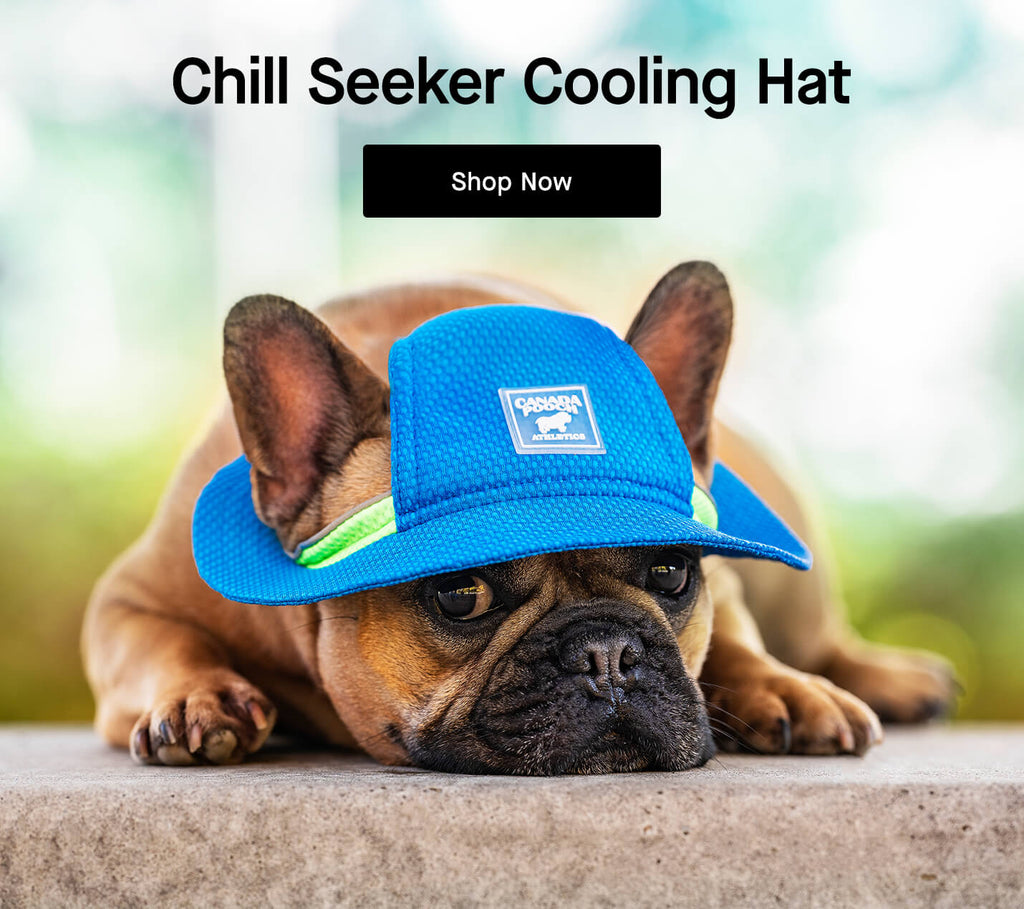 Canada Pooch Dog Clothes and Accessories Dog Apparel