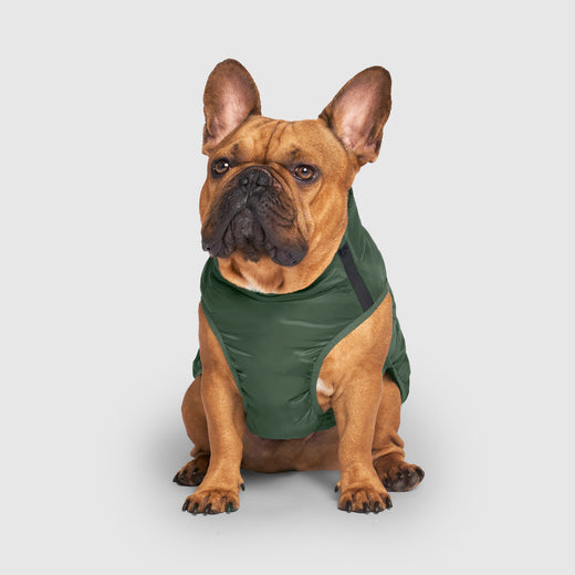 Commuter Dog Vest Canada Pooch