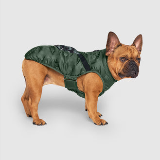 Commuter Vest in Green Camo, Canada Pooch Dog Vest