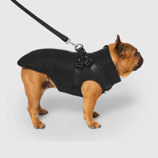 Complete Control Harness Winter Jacket – Canada Pooch
