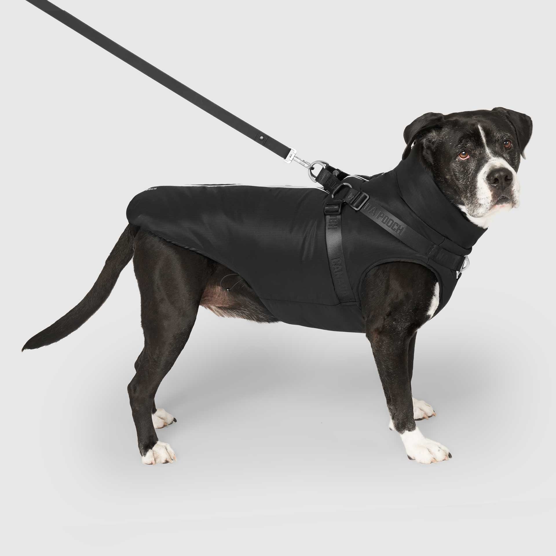 Complete Control Harness Winter Jacket – Canada Pooch