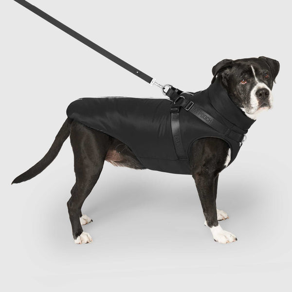 Complete Control Harness Winter Jacket in Black, Canada Pooch, Dog Parka|| color::black|| size::28|| name:: Cowboy the Bullmastiff Mix|| weight::92