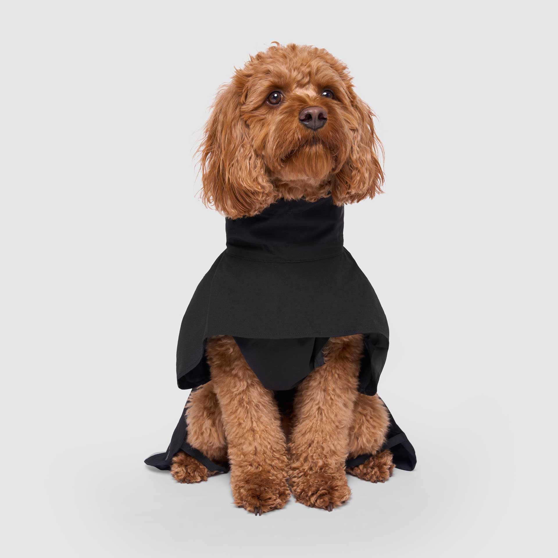Complete Coverage Dog Raincoat | Canada Pooch