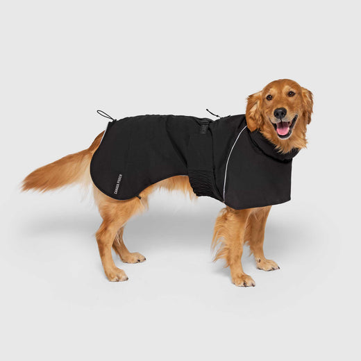 Complete Coverage Winter Coat in Black, Canada Pooch Dog Coat