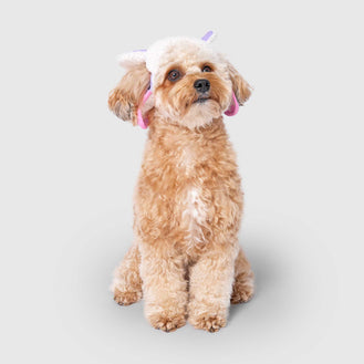 Cool Factor Aviator Hat in Lavender, Canada Pooch, Dog Hat