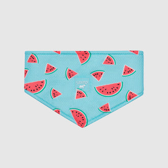 Cooling Bandana in Popsicle, Canada Pooch Cooling Bandana || color::watermelon|| size::na