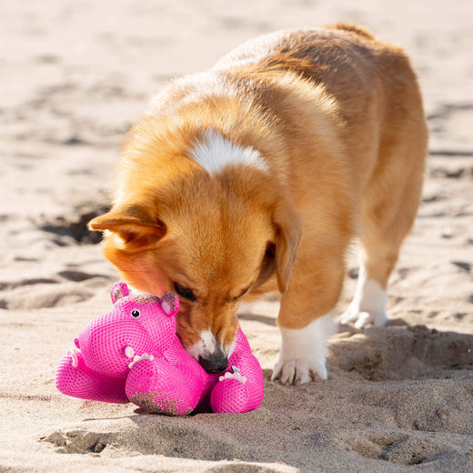 Cooling Pals Dog Cooling Toys Canada Pooch