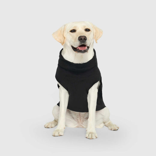 Canada Pooch Easy On Stretch Fleece (Black, 10)
