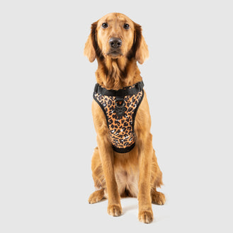 The Everything Harness Water-Resistant Series in Leopard, Canada Pooch, Dog Harness