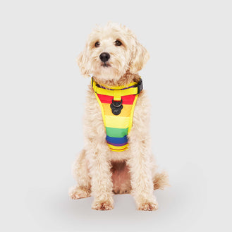 The Everything Harness Water-Resistant Series in Rainbow, Canada Pooch, Dog Harness