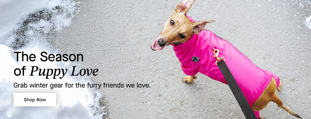 Dog wearing Canada Pooch Slush Suit in pink