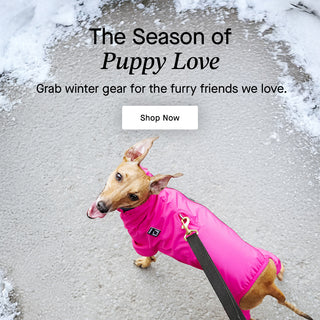 Dog wearing Canada Pooch Slush Suit in pink