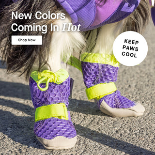 Dog wearing the Hot Pavement Boots from Canada Pooch in Purple Green
