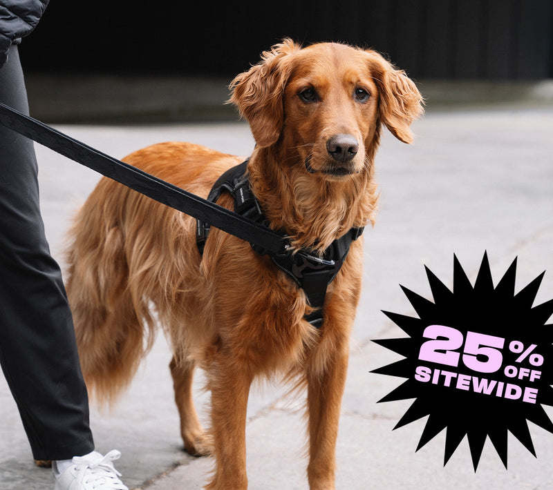 Complete Control Harness