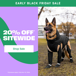 German shepherd clothing and accessories online
