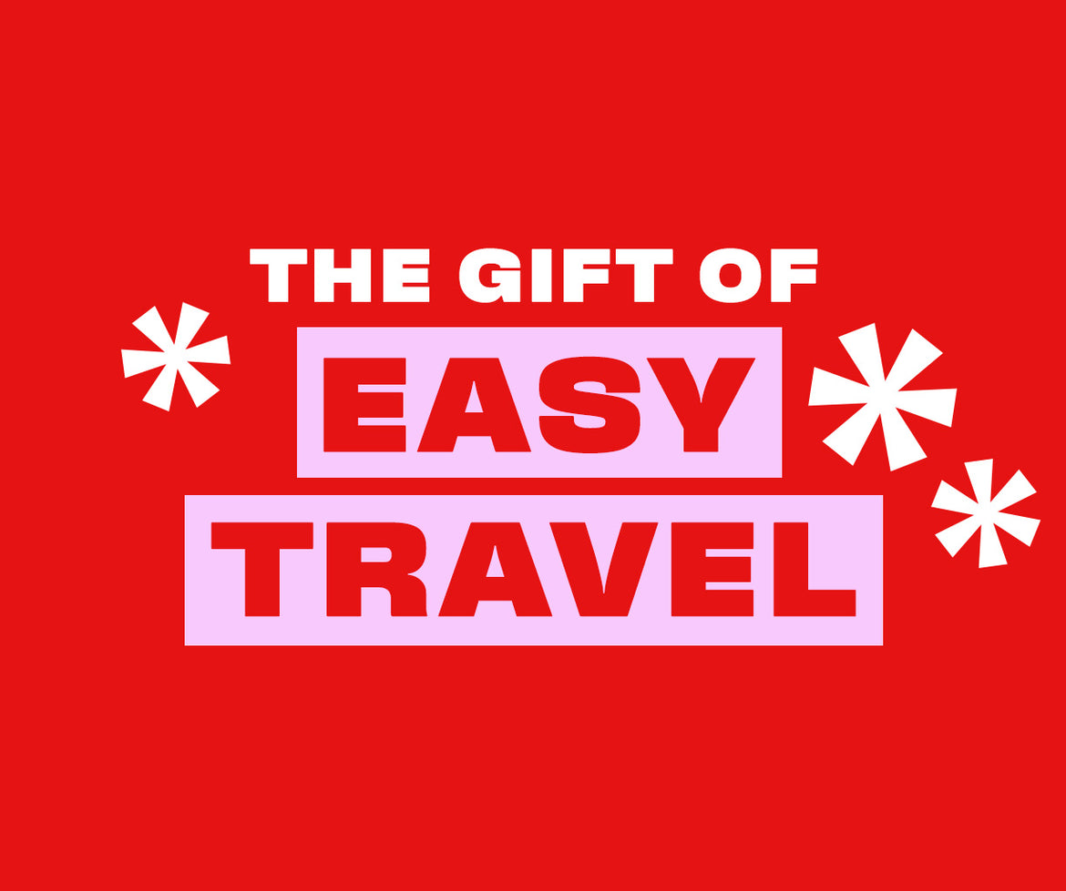 Gifts for easy pet travelling