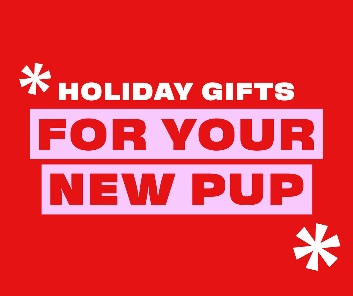 Gifts for your new pup