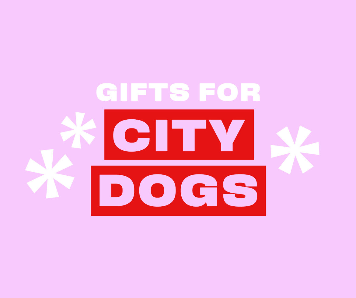 Gifts for dogs in the city