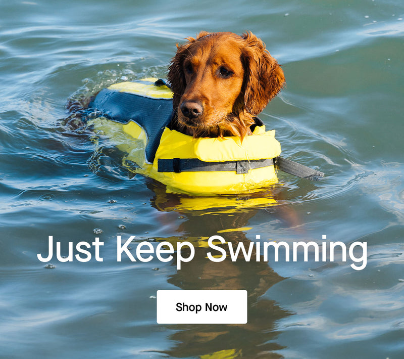 Dog wearing the Wave Rider Life Jacket from Canada Pooch