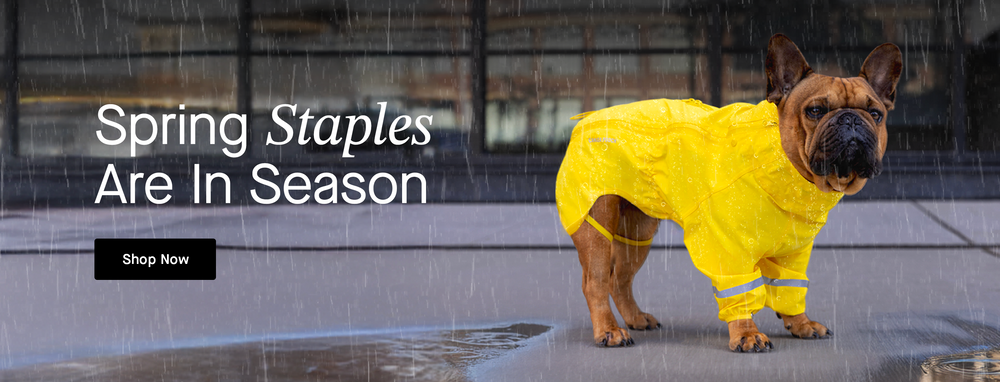 Dog wearing the yellow Waterproof Raincoat from Canada Pooch