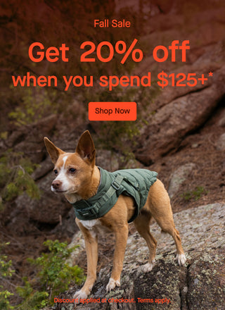 Dog wearing the Harness Puffer from Canada Pooch