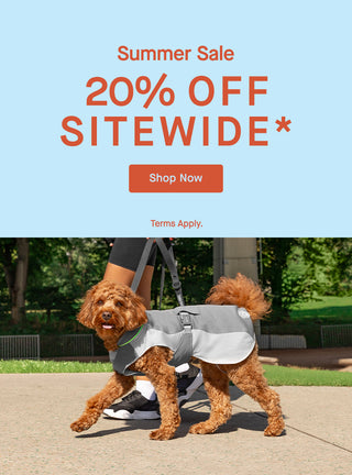Dog wearing the Max Chill Cooling Vest from Canada Pooch