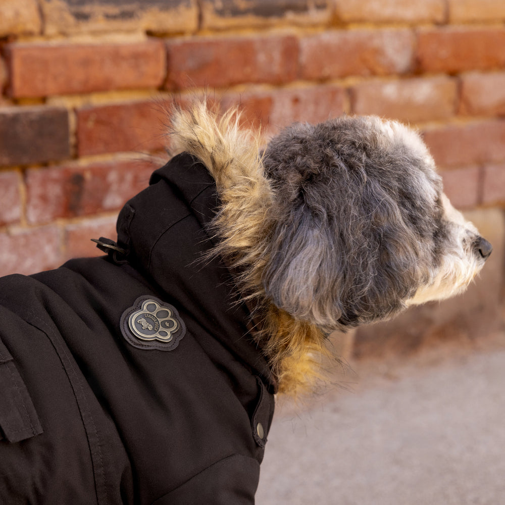 Army Parka Espresso