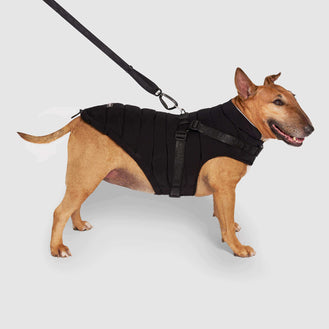 Harness Puffer in Black, Canada Pooch Dog Puffer