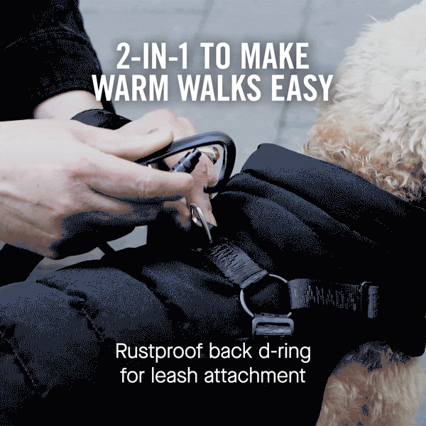The Harness Puffer Dog Jacket with Harness Canada Pooch