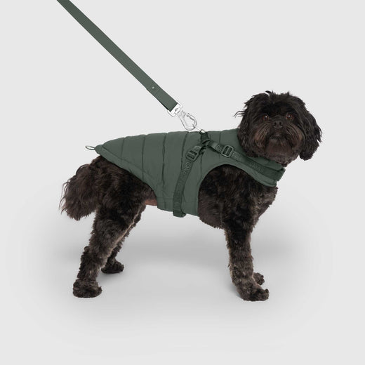 Harness Puffer in Green, Canada Pooch Dog Parka