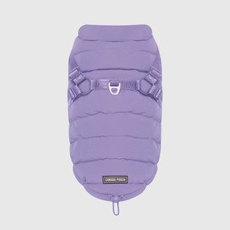 Harness Puffer in Lavender, Canada Pooch Dog Parka|| color::lavender