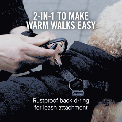 the-harness-puffer-dog-jacket-with-harness-canada-pooch