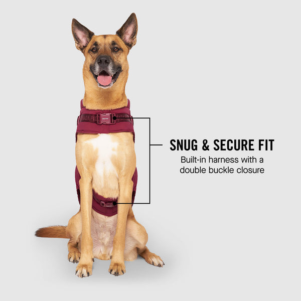 The Harness Puffer Dog Jacket with Harness Canada Pooch