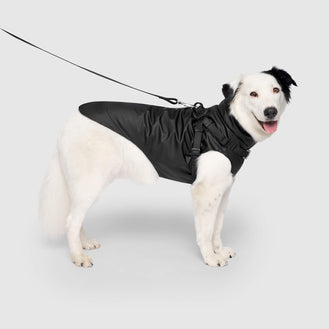 Harness Raincoat in Black, Canada Pooch Dog Raincoat