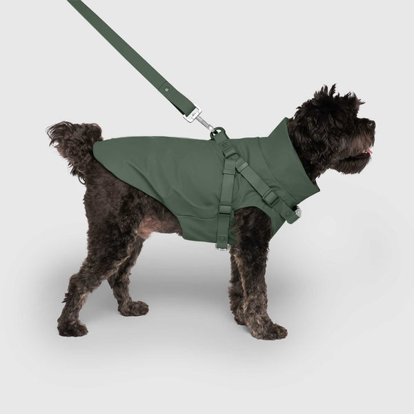 Harness Raincoat in Green, Canada Pooch Dog Raincoat|| color::forest-green|| size::14|| name:: Bowie the Cavapoo|| weight::17