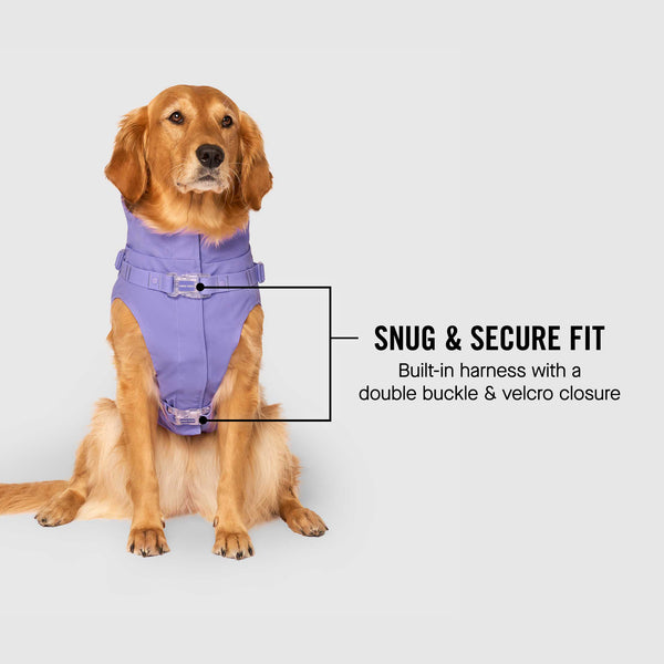 2-in-1 Dog Harness Raincoat | Canada Pooch