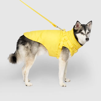 Harness Raincoat in Yellow, Canada Pooch Dog Raincoat