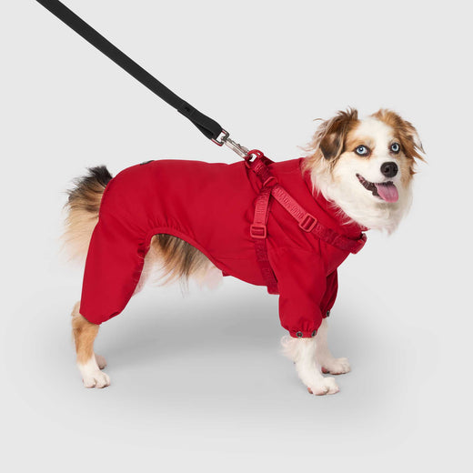 Harness Snow Suit in Red, Canada Pooch Dog Suit