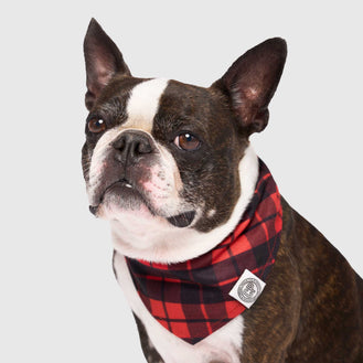 Holiday Bandana in Red Plaid, Canada Pooch Dog Bandana