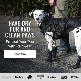 Pawtech dog outlet coats