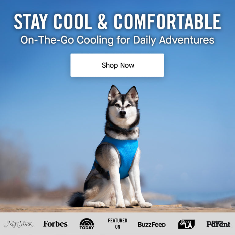 Canada Pooch Dog Clothes and Accessories Dog Apparel