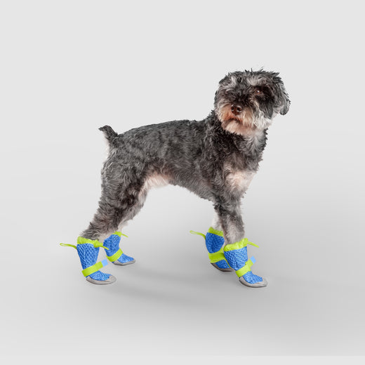 Hot Pavement Boots in Blue Green, Canada Pooch Dog Boots