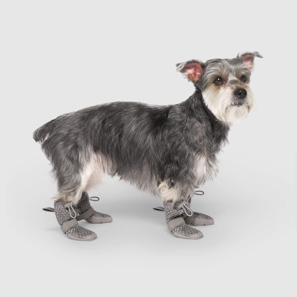 Hot Pavement Boots in Grey, Canada Pooch Dog Boots|| color::grey|| size::1|| name:: Logan the Mini Schnauzer|| weight::13
