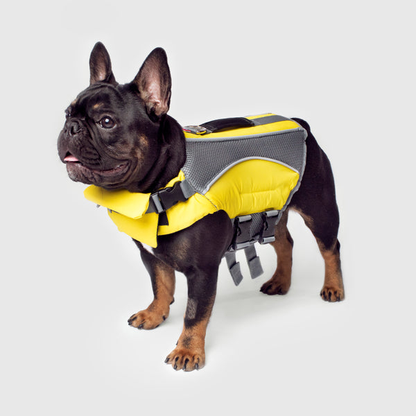 Wave Rider Dog Life Jacket | Canada Pooch