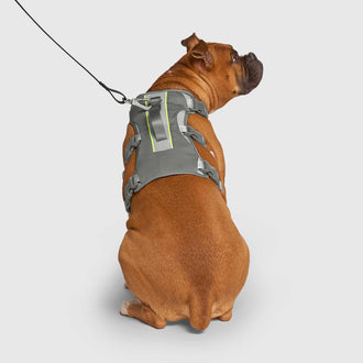 Max Chill Cooling Harness in Grey, Canada Pooch Dog Harness|| color::grey|| size::L|| name:: Kuzco the Boxer|| weight::56